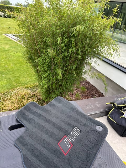 Gray car floor mat with RS logo on a vehicle seat overlooking a garden with green lawn and weeping willow tree